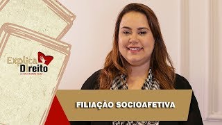 Explica Direito Filiação Socioafetiva  2019 [upl. by Sila]