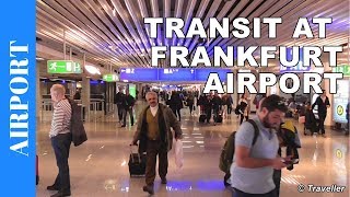 TRANSIT WALK AT FRANKFURT Airport FRA Terminal 1  Connection Flight Transfer Arriving amp Departing [upl. by Cahilly]